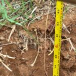 Evidência de perfuração pa poste de concreto